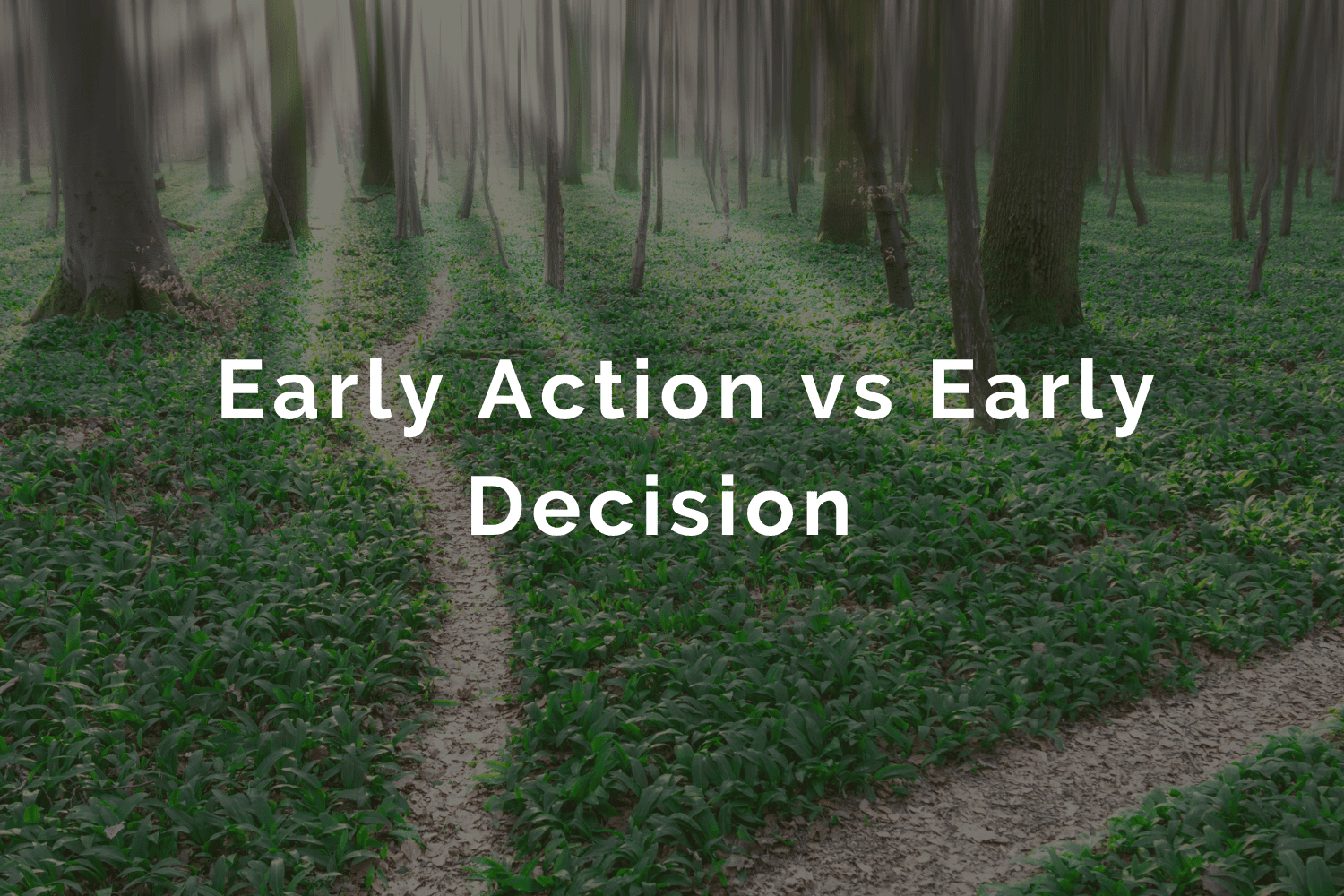 Early Action vs Early Decision What is the Difference?